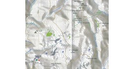 Grupo Plomo