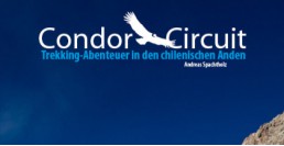 Condor Circuit ebook